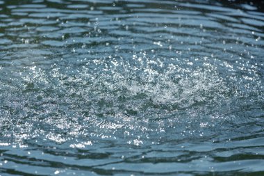 Suyun yüzeyinde daireler çizerek düşen sudan, jetlerden ve sıçramalardan, bir sürü küçük damladan