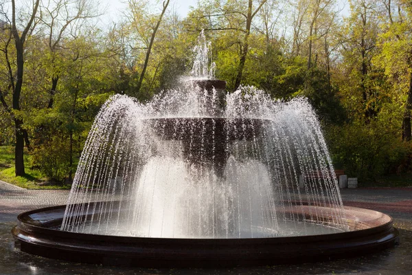 Una Grande Fontana Con Acqua Sullo Sfondo Del Verde Molti — Foto Stock