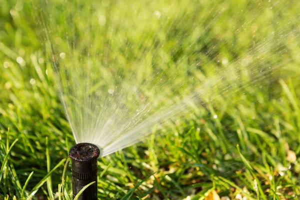 夏と新鮮さ 芝生灌漑システム 緑の草と太陽のグレア クローズアップショットの概念 — ストック写真