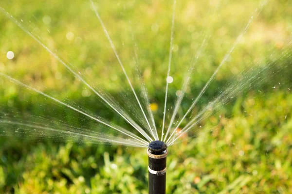 スプリンクラーを閉じて芝生の上に水を振りかける多くのウォータージェット水と夏の概念 — ストック写真
