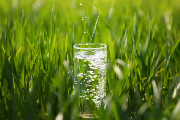 緑の草の中には背の高いガラスの水 滴とスプラッシュ 夏のコンセプト クローズアップ — ストック写真