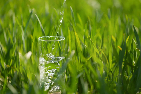 緑の芝生のガラス ガラスに注ぐ水流 コンセプト クローズアップ — ストック写真