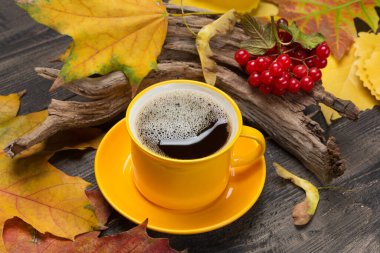 Tahtada, köpüklü, dallı, sarı yapraklı ve viburnum üzümlü sarı bir fincan kahveyle durgun bir hayat var.