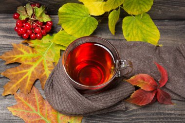 Sarı ve kırmızı yapraklarla çevrili kırmızı bir eşarba sarılı kırmızı çay bardağı ve viburnum üzümü, konsept, düz uzanmış