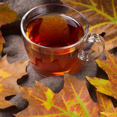 Yengeç meşesi yapraklarıyla çevrili yünlü bir kumaşta çay fincanı. Yakın plan.