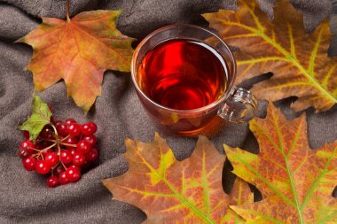 Bir fincan çayın, sarı akçaağaç ve meşe yapraklarının, viburum üzümlerinin örülmüş yün kumaşın üzerindeki güzel sonbahar kompozisyonu.