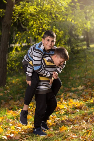 Dzieci Dwóch Chłopców Bawi Się Parku Jesienią Zajęcia Świeżym Powietrzu — Zdjęcie stockowe
