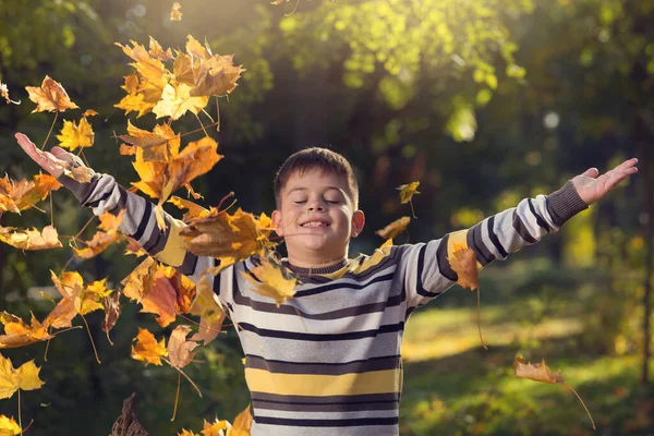 Веселий Хлопчик Осінньому Парку Заплющує Очі Піднімає Руки Ловить Літаюче — стокове фото