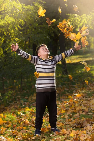Щасливий Хлопчик Осінньому Парку Заплющує Очі Піднімає Руки Ловить Літаюче — стокове фото