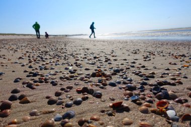 Hollanda 'da çok sayıda top mermisi