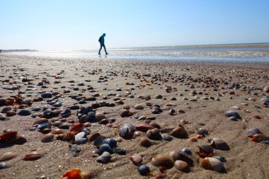 Hollanda 'da çok sayıda top mermisi