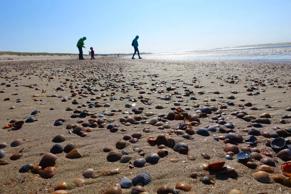 Hollanda 'da çok sayıda top mermisi