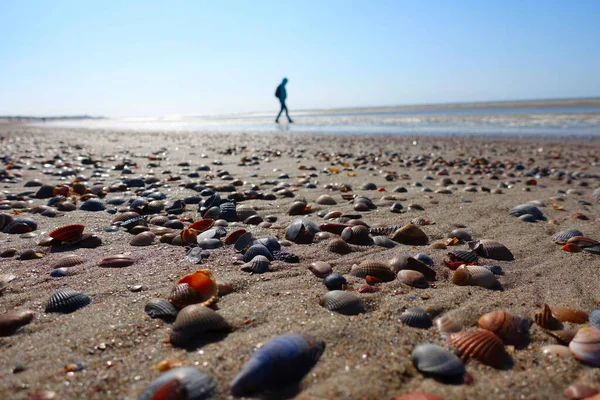 Hollanda 'da çok sayıda top mermisi