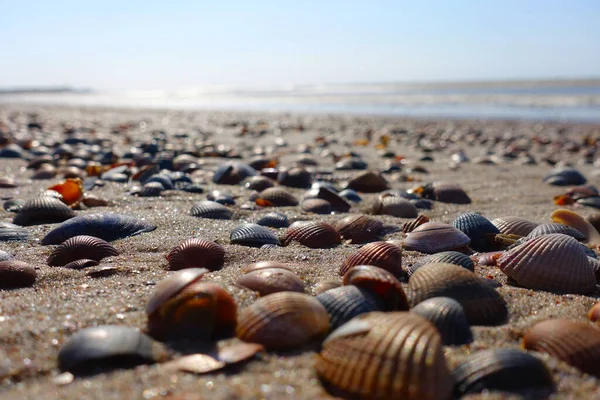 Hollanda 'da çok sayıda top mermisi