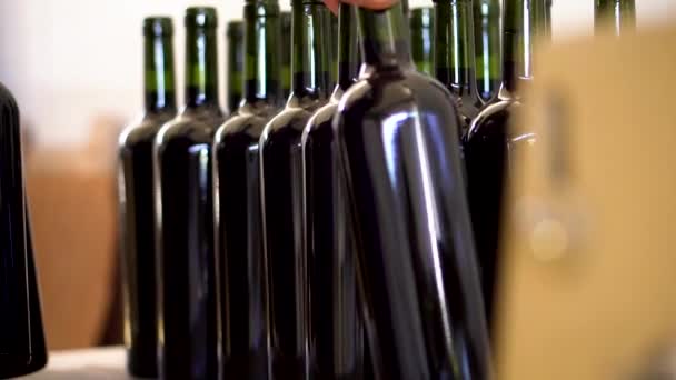 Piling Świeżo Robione Butelki Czerwonego Wina — Wideo stockowe