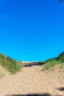 The view of a path over a dune in the coast of Argentina