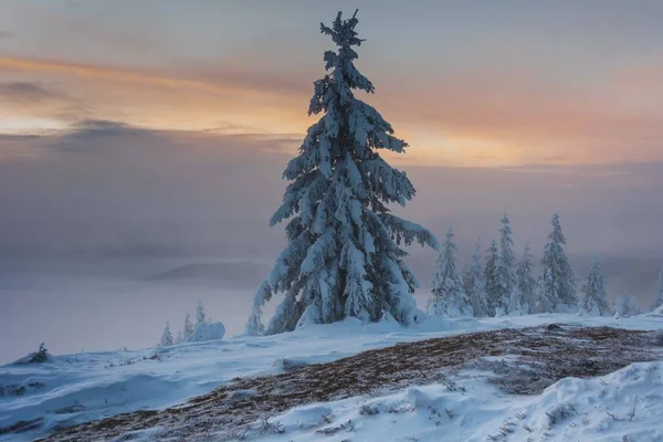 拥有游客 滑雪者和令人惊奇的自然状态的塔特拉山冬季美景 — 图库照片