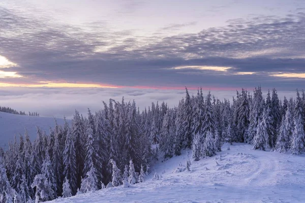 Bella Vista Invernale Delle Montagne Degli Alti Tatra Con Turisti — Foto Stock