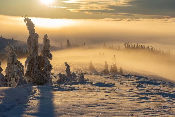 Зимние Виды Высоких Татр Туристами Лыжниками Удивительной Природой — стоковое фото