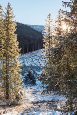 Turistlerin, kayakçıların ve doğanın inanılmaz durumlarının olduğu yüksek Tatra Dağları 'nın güzel kış manzaraları.
