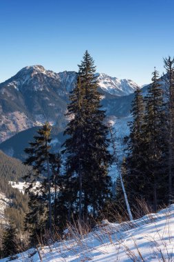 Turistlerin, kayakçıların ve doğanın inanılmaz durumlarının olduğu yüksek Tatra Dağları 'nın güzel kış manzaraları.