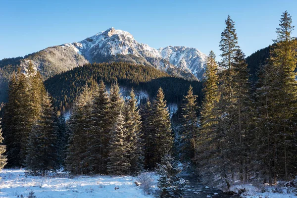 Prachtige Winter Uitzicht Hoge Tatra Gebergte Met Toeristen Skiërs Geweldige — Stockfoto