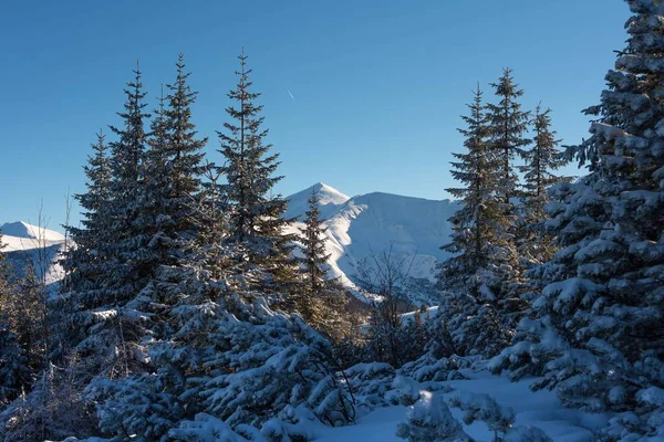 拥有游客 滑雪者和令人惊奇的自然状态的塔特拉山冬季美景 — 图库照片