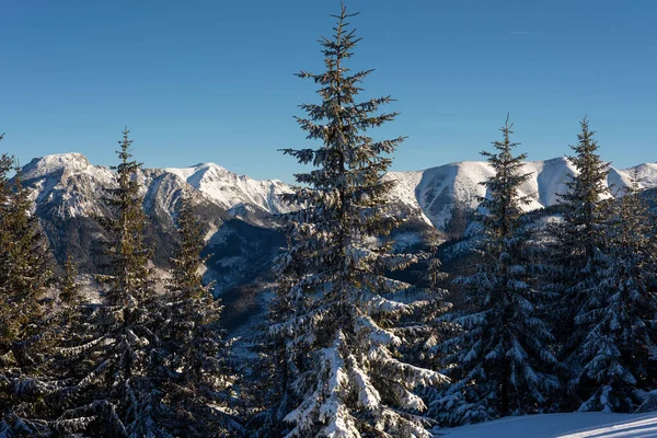 拥有游客 滑雪者和令人惊奇的自然状态的塔特拉山冬季美景 — 图库照片