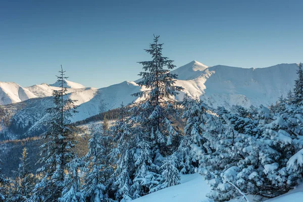 Hermosas Vistas Invierno Las Altas Montañas Tatra Con Turistas Esquiadores — Foto de Stock