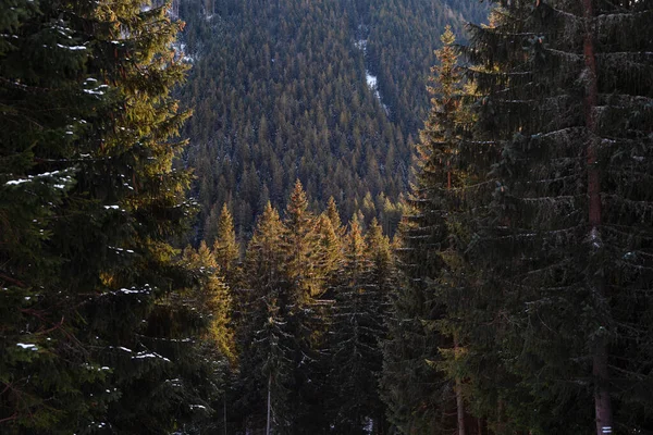 Beautiful Winter Views High Tatra Mountains Tourists Skiers Amazing States — Stock Photo, Image