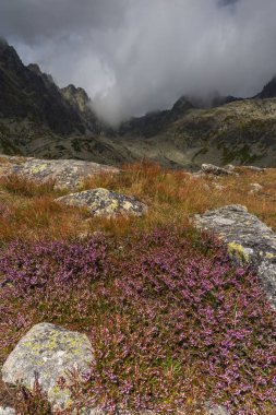 Polonya ve Slovakya yüksek Tatra dağlarında yaz günbatımları ve gün doğumları