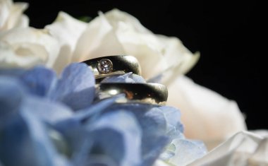 Anillos de matrimonios sobre flor - matrimonios