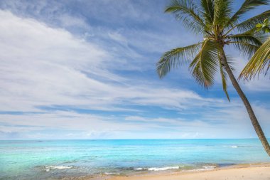 Porto Seguro praia do espelho plajı, Bahia, Brezilya 'da tenha bir kumsal.