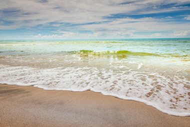 Porto Seguro praia do espelho plajı, Bahia, Brezilya 'da tenha bir kumsal.