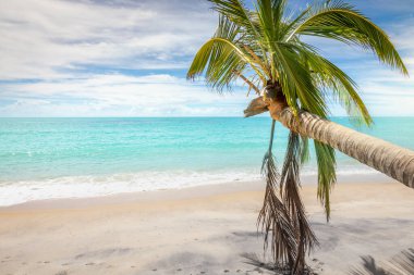 Secluded idyllic sand beach in Porto Seguro praia do espelho beach, Bahia, Brazil