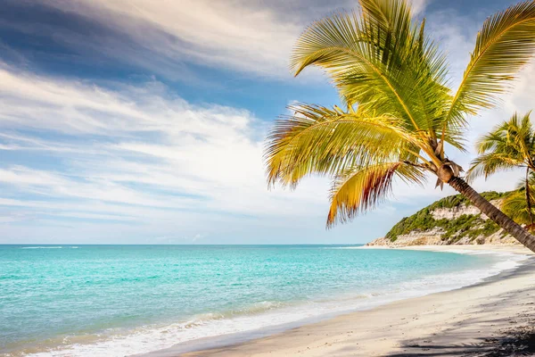 Secluded Idyllic Sand Beach Porto Seguro Praia Espelho Beach Bahia — Fotografia de Stock