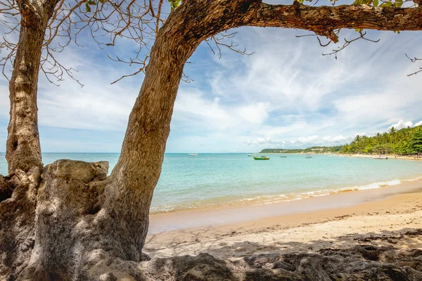 Idyllic Secluded Espelho Beach Palm Trees Trancoso Bahia — Fotografia de Stock