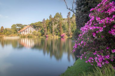 Lago Zenci Kara Gölü, açelyalı manzara - Gramado, Rio Grande do Sul, Brezilya