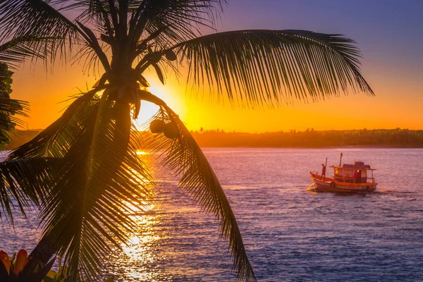 Fishermen Motor Boat Idyllic Palm Beach Sunset Porto Seguro Bahia — ストック写真