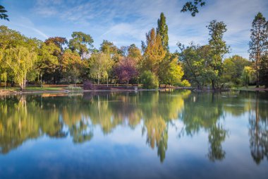 Stadtpark, Viyana 'da yansıyan gölün yansıması. Huzurlu gündoğumunda, Avusturya.. 