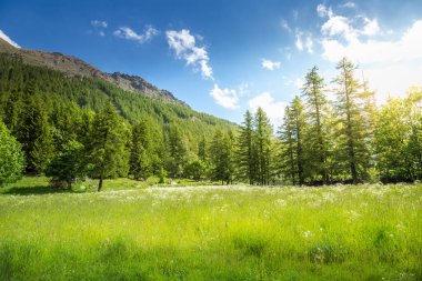 Kuzey İtalya, Cogne 'da gün doğumunda Gran Paradiso Alp manzarası. 
