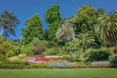 Güneşli bir günde, renkli çiçekler ve palmiye ağaçları olan lüks bir bahçe Como Gölü, İtalya