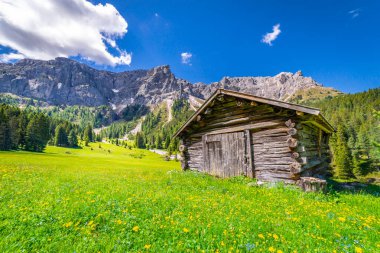 Agricultural barn for hay in idyllic Dolomites meadows, Northern Italy. 
