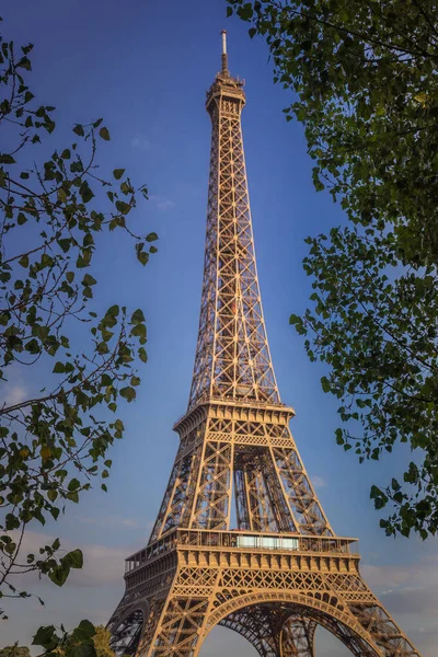 Wieża Eiffla Widok Rogu Trocadero Oprawione Przez Drzewa Paryż Francja — Zdjęcie stockowe