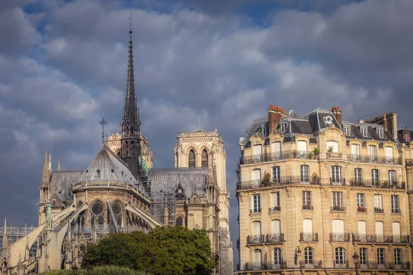 Notre Dame Paris Columns Archs Back View Details France — 스톡 사진