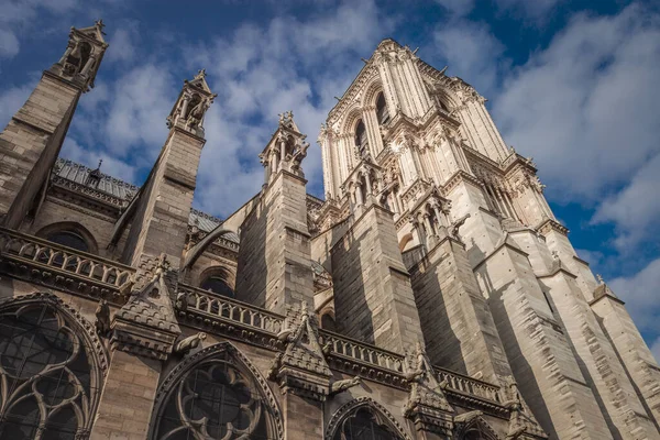 Notre Dame Paris Oszlopok Íjászok Oldalnézet Részletek Franciaország — Stock Fotó