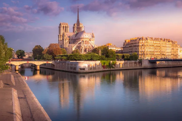 Notre Dame Paris Seine River Reflection Peaceful Sunrise France — Foto de Stock