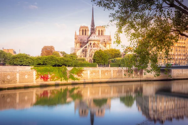 Notre Dame Paris Seine River Reflection Peaceful Sunrise France — 스톡 사진