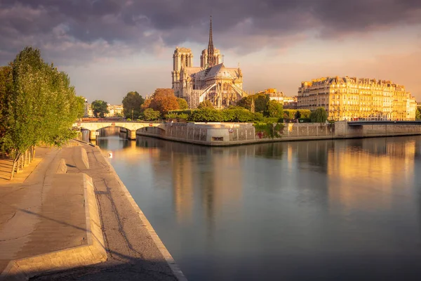 Notre Dame Paris Seine River Reflection Peaceful Sunrise France — 스톡 사진