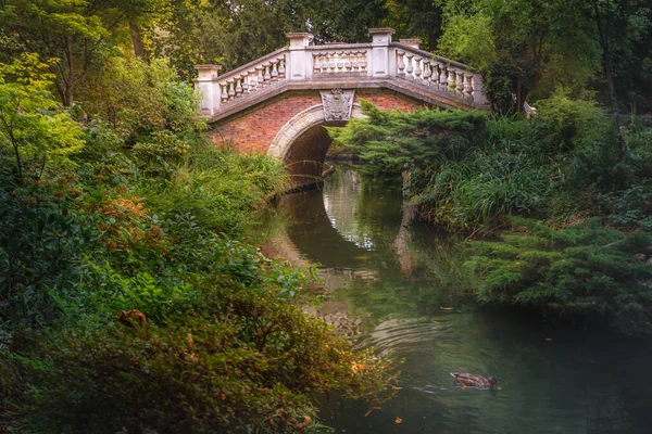 Bridge above pond with reflection and ducks in Parc Monceau, Paris, France
